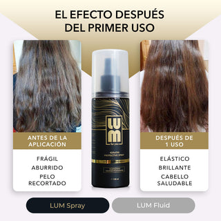 Shine and Gloss for Hair (Thermal Protection Spray + Fluid)