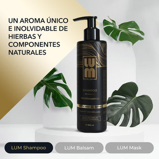 «Daily Care» (Shampoo, Balsam, Mask)