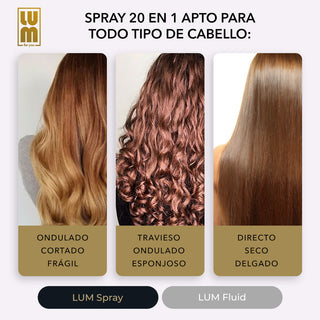 Shine and Gloss for Hair (Thermal Protection Spray + Fluid)