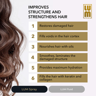 Shine and Gloss for Hair (Thermal Protection Spray + Fluid)